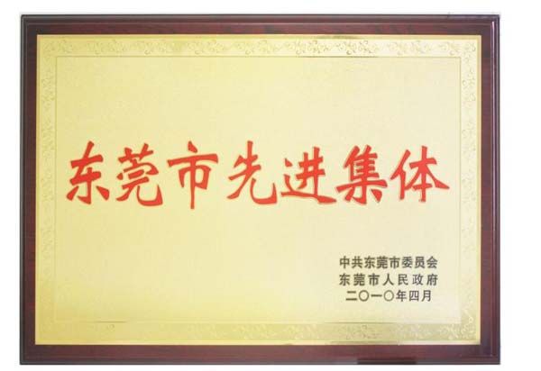 東莞市先進(jìn)集體