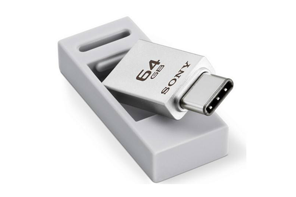 Type-C外殼,Type-C端子